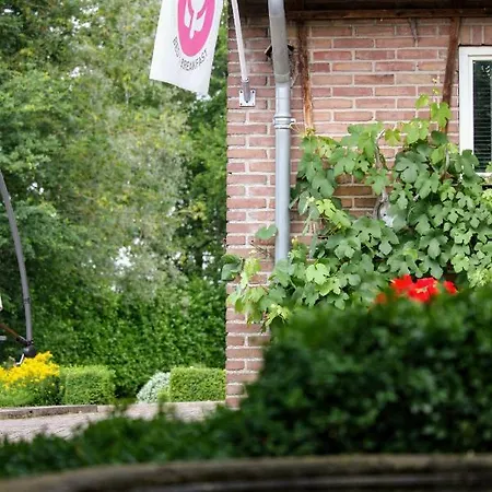 Bed & Breakfast Belle Rose Ruurlo
