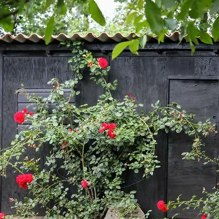 Belle Rose Bed & Breakfast Ruurlo