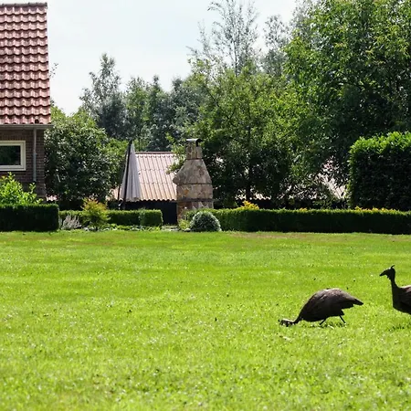 Belle Rose Bed & Breakfast *